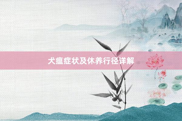 犬瘟症状及休养行径详解
