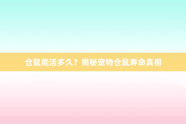 仓鼠能活多久？揭秘宠物仓鼠寿命真相